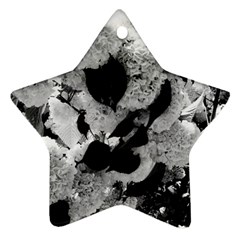 Black And White Snowballs Star Ornament (two Sides)