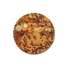 Bees Nature Animals Honeycomb Magnet 3  (round) by Pakrebo