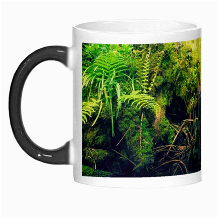 Waterfall River Nature Forest Morph Mugs