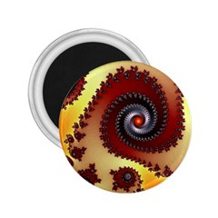 Fractal Rendering Spiral Twist 2 25  Magnets by Pakrebo