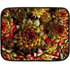 Plant Succulents Succulent Double Sided Fleece Blanket (mini)  by Pakrebo