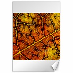 Autumn Leaves Forest Fall Color Canvas 20  X 30  by Pakrebo