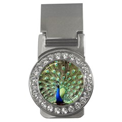 Blue And Green Peacock Money Clips (cz)  by Pakrebo