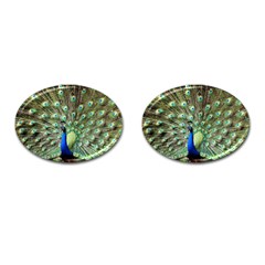 Blue And Green Peacock Cufflinks (oval) by Pakrebo