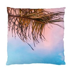 Two Green Palm Leaves On Low Angle Photo Standard Cushion Case (two Sides) by Pakrebo