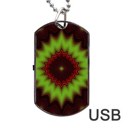 Fractal Artwork Idea Allegory Geometry Dog Tag Usb Flash (two Sides)