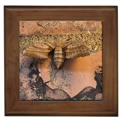 Night Moth Framed Tile by Riverwoman