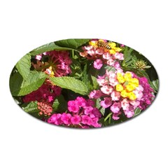 Summer Lantana W Bee Oval Magnet by Riverwoman