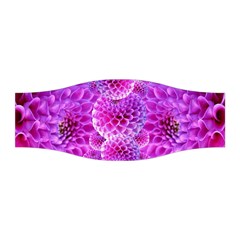 Nature Blossom Plant Flower Purple Petal Bloom Pattern Pollen Pink Flora Flowers Dahlia Design Beaut Stretchable Headband by Vaneshart