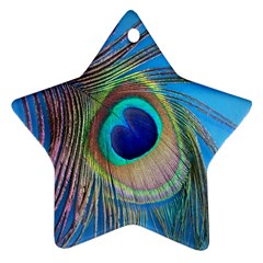 Nature Bird Wing Texture Animal Male Wildlife Decoration Pattern Line Green Color Blue Colorful Star Ornament (two Sides) by Vaneshart