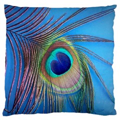 Nature Bird Wing Texture Animal Male Wildlife Decoration Pattern Line Green Color Blue Colorful Standard Flano Cushion Case (one Side) by Vaneshart