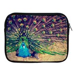 Bird Biology Fauna Material Chile Peacock Plumage Feathers Symmetry Vertebrate Peafowl Apple iPad 2/3/4 Zipper Cases Front