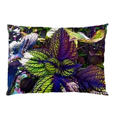 Dark Coleus Pillow Case by Riverwoman