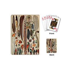 Feathers Birds Vintage Art Playing Cards Single Design (mini) by Vaneshart