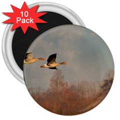 Goose 4002044 960 720 3  Magnets (10 Pack)  by vintage2030