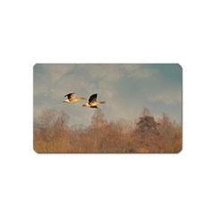 Goose 4002044 960 720 Magnet (name Card) by vintage2030