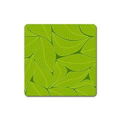 Pattern Leaves Walnut Nature Square Magnet by Vaneshart