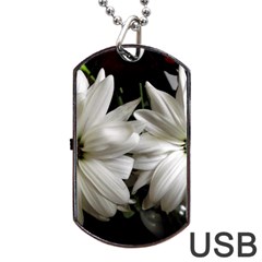 Daisies Dog Tag Usb Flash (one Side) by bestdesignintheworld