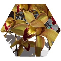Orchids  1 1 Wooden Puzzle Hexagon by bestdesignintheworld