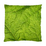Structure Nature Texture Pattern Standard Cushion Case (Two Sides) Front