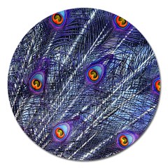 Peacock Feathers Color Plumage Blue Magnet 5  (round) by Sapixe