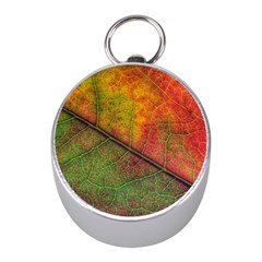 Fall Foliage Color Leaf Veins Mini Silver Compasses by Wegoenart