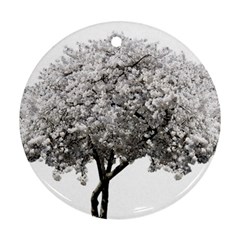 Nature Tree Blossom Bloom Cherry Round Ornament (two Sides) by Sapixe