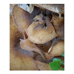 Close Up Mushroom Abstract Shower Curtain 60  X 72  (medium)  by Fractalsandkaleidoscopes