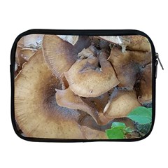 Close Up Mushroom Abstract Apple Ipad 2/3/4 Zipper Cases by Fractalsandkaleidoscopes