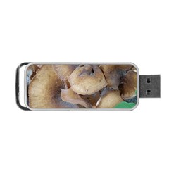 Close Up Mushroom Abstract Portable Usb Flash (one Side) by Fractalsandkaleidoscopes