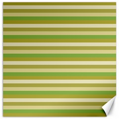 Stripey 11 Canvas 20  X 20  by anthromahe