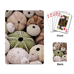 Sea Urchins Playing Cards Single Design (rectangle) by TheLazyPineapple