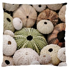 Sea Urchins Large Flano Cushion Case (two Sides) by TheLazyPineapple