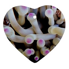 Sea Anemone Ornament (heart) by TheLazyPineapple