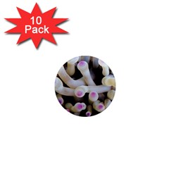 Sea Anemone 1  Mini Magnet (10 Pack) 