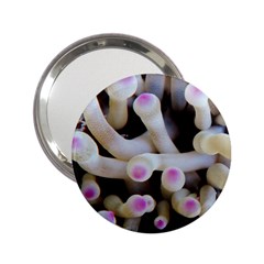 Sea Anemone 2 25  Handbag Mirrors