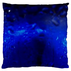 Img 20200106 165343295 Animation Large Cushion Case (two Sides) by ScottFreeArt