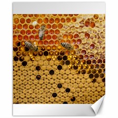 Top View Honeycomb Canvas 11  X 14  by Vaneshart