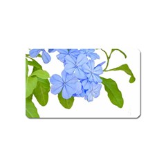 Botanical Floral Print Stylized Photo Magnet (name Card) by dflcprintsclothing