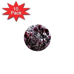 Saucer Magnolia Tree Ii 1  Mini Buttons (10 Pack)  by okhismakingart