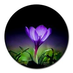 Floral Nature Round Mousepads by Sparkle