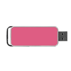 True Blush Pink Color Portable Usb Flash (two Sides) by SpinnyChairDesigns