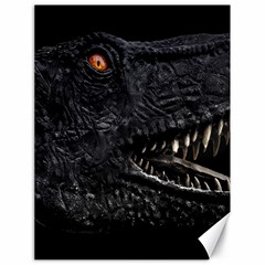 Trex Dinosaur Head Dark Poster Canvas 18  X 24  by dflcprintsclothing