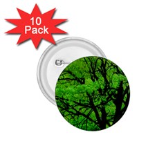 Big Trees, El Leoncito National Park, San Juan, Argentina 1 75  Buttons (10 Pack) by dflcprintsclothing