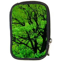 Big Trees, El Leoncito National Park, San Juan, Argentina Compact Camera Leather Case by dflcprintsclothing