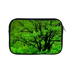 Big Trees, El Leoncito National Park, San Juan, Argentina Apple Ipad Mini Zipper Cases by dflcprintsclothing