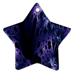 Fractal Web Star Ornament (two Sides) by Sparkle