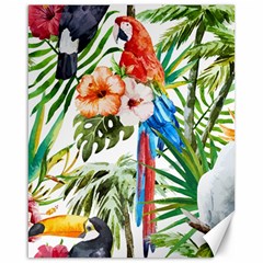 Jungle Canvas 16  X 20  by goljakoff