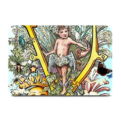 The Illustrated Alphabet - V - By Larenard Plate Mats by LaRenard