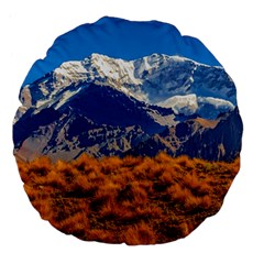 Aconcagua Park Landscape, Mendoza, Argentina Large 18  Premium Flano Round Cushions